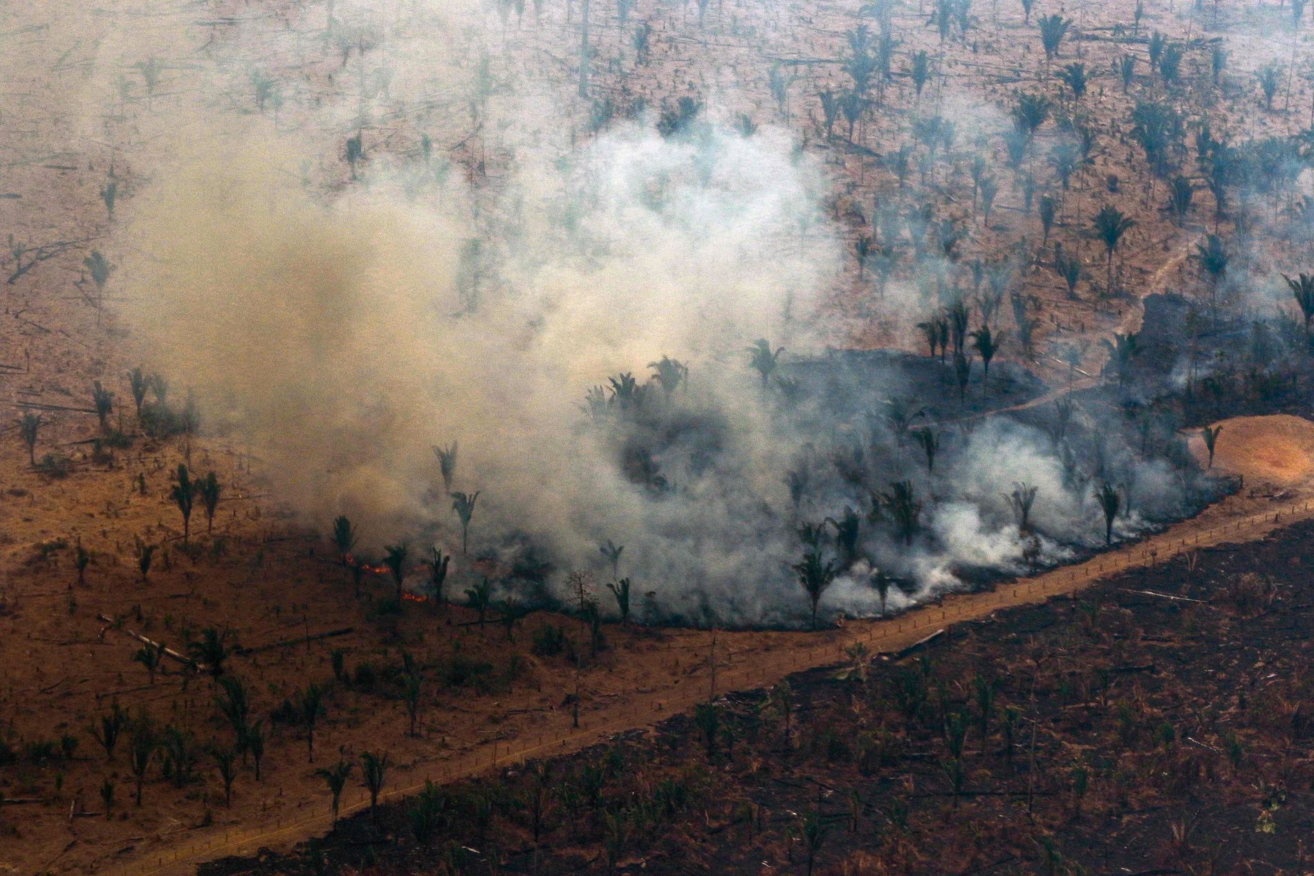 AVSKOGING: Skog brennes ned nær byen Boca do Acre i Amazonas 24. august.